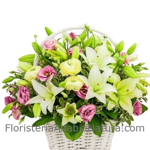 Cesta con Lilium