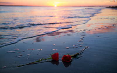rosas para funeral flores funerarias, flores para difuntos, enviar centros de flores a tanatorio, flores de condolencias