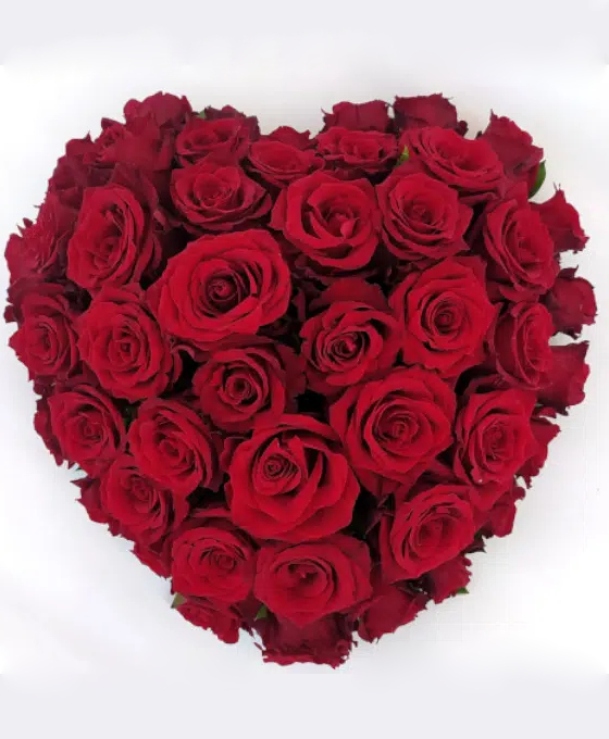 Corazón de 50 Rosas Rojas